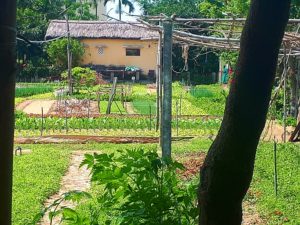 Le Tineiral à Néffies. Hebergement de vacances. Tous les jeudis à 9h30, sur la place du village Myriam vous propose ses fruits et légumes de Cabrières,