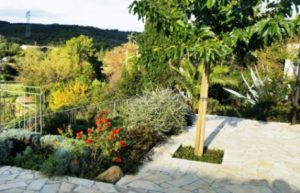 Das Tiniral in Neffies Das Tiniral in Neffies ist mit mediterranen Pflanzen bepflanzt: Oliven, Feigen, Lorbeer, Lavendel, Rosmarin, Santolinen und Kakteen ...