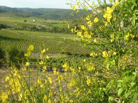 Le tineiral: Gîte les Bruyeres